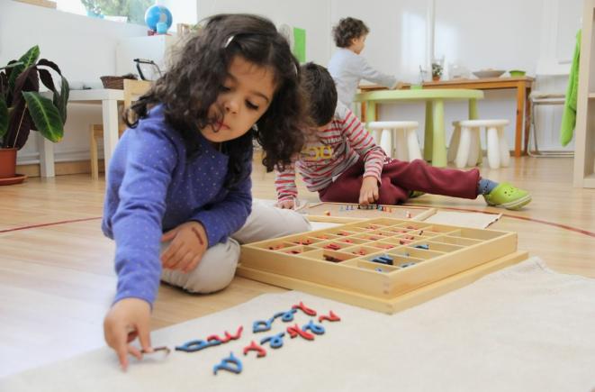 Montessori Etkinlikleri